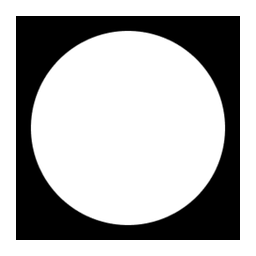 Logo White Circle