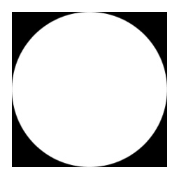 Logo White Circle